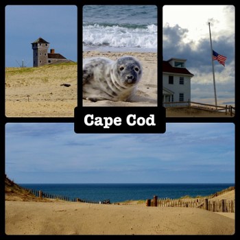 Race Point Beach - Cape Code, April 20, 2013