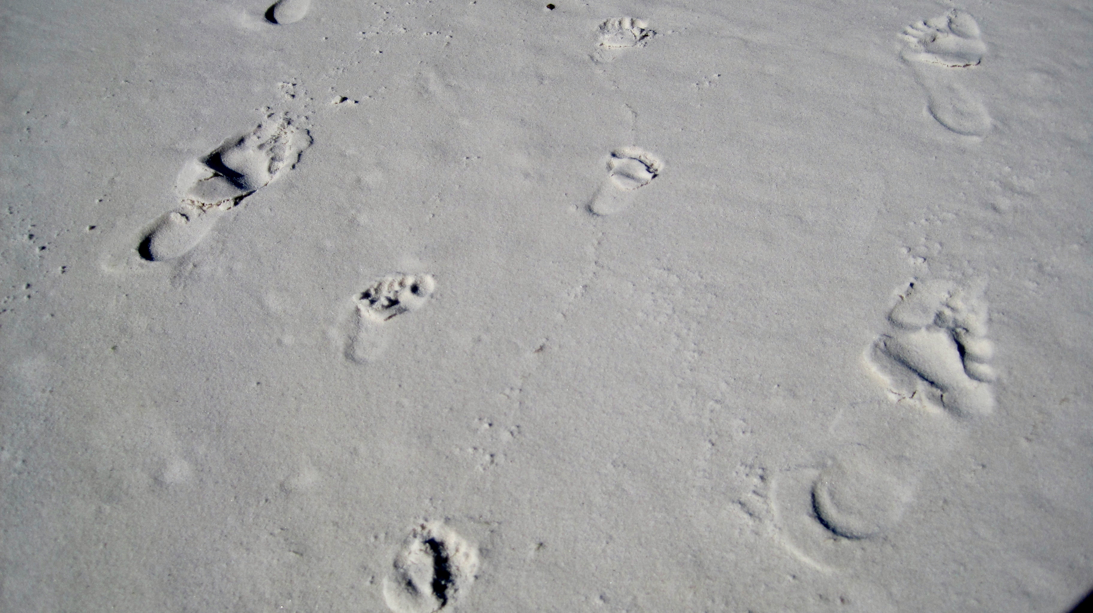 Foot Prints