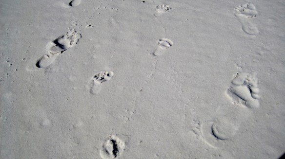 Foot Prints
